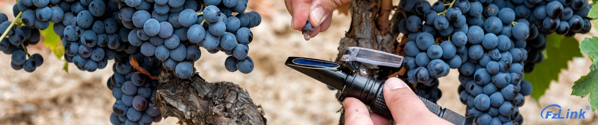 Handheld Refractometer